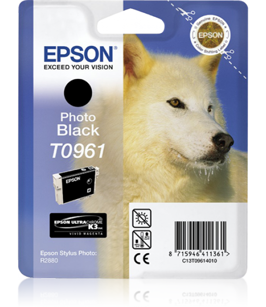 Epson Photo Black R2880
