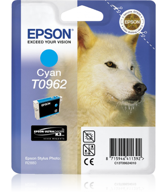 Epson Cyan R2880