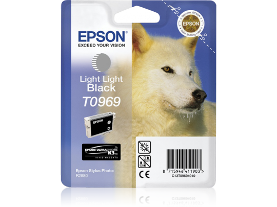 Epson Light Light Black R2880