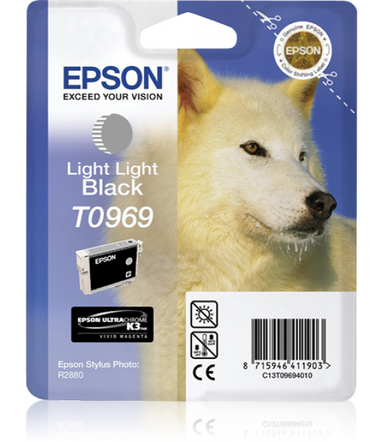 Epson Light Light Black R2880