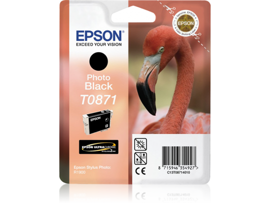 Epson Photo R1900 Photo Black Ink Cartridge